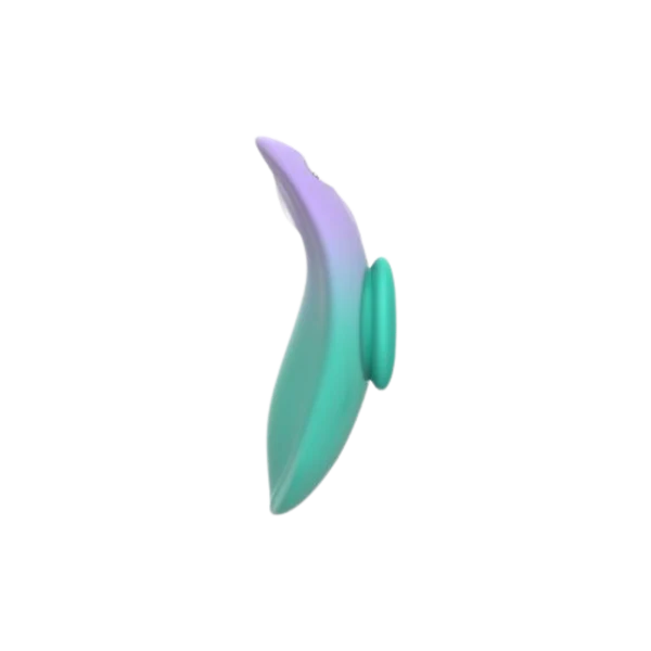 Ludo Magnetic Panty Vibrator
